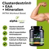 alphavitalis PURE INTRA WORKOUT Shake EISTEE PFIRSICH - 800g Cluster