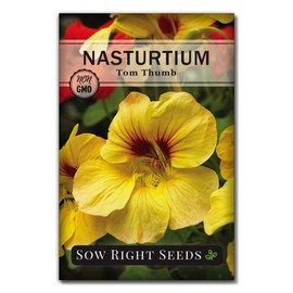 Sow Right Seeds - Tom Thumb Nasturtium Seeds to Plant - Full Instructions for Planting and Growing a Beautiful Flower Garden; Non-GMO Heirloom Seeds; Wonderful Gardening Gift (1)