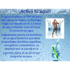 Magnetizador, Ionizador, Para Hacer El Agua Alkalina