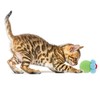 CAPASTEC Cat Play Ball with Bell Indoors, Interactive Cat Ball