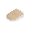Shires Ezi Groom Cactus Mitt Grooming Glove - onesize