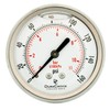 2-1/2" All Stainless Steel Oil Filled Pressure Gauge - 1/4"