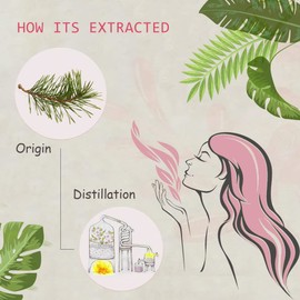 AOPING Pine Needles Essential Oil - 100% Pure Organic Natural Plant (Pinus acus) Pine Needles Oil for Diffuser, Aroma, Spa, Massage, Yoga, Perfume, 0.33oz