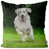 VOID Golden Retriever Ball Cushion Cover Sofa Cushion Decorative Outdoor