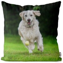 VOID Golden Retriever Ball Cushion Cover Sofa Cushion Decorative Outdoor Cushion Decorative Cushion Size: 40 x 40 cm