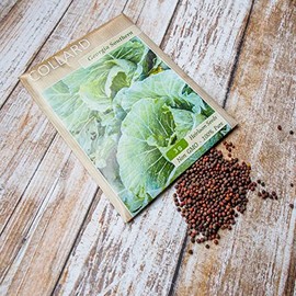 Collard Seeds - Georgia Southern - 1 Ounce - Vegetable Seeds, Heirloom Seed, Open Pollinated Seed Fast Growing, Culinary