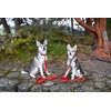 EcoBark Dog Leash - Soft & Reflective Comfort Training Leashes