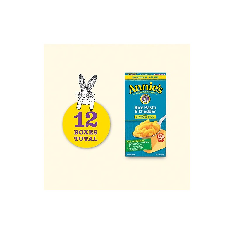 Annie’s Four Cheese Penne Macaroni and Cheese Dinner with Organic