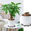 TWZKXC 8 Pcs 4.35" Plant Saucer Drainage Rack Stand, Pot