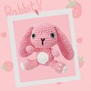 Crochet Kit for Beginners,Crochet Animal Kit for Beginners with Step-by-Step