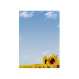 Summer Paper Writing Paper Sunflowers (50 Sheets DIN A4, 90 gsm, Great for Letters, Invitations, Menus, advertising Flyer, Small Posters and Businesses. For Laser and Inkjet Printers, copiers or writing by Hand