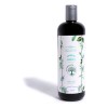 Shampoo De Romero Cabello Graso - mL
