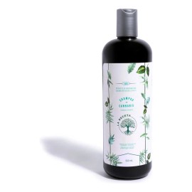 Shampoo De Romero Cabello Graso - mL
