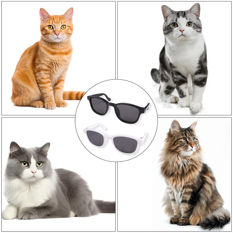 Mini Pet Sunglasses UV Protection Windproof Goggles for Dogs and
