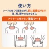 めぐりズム 蒸気の温熱シート 16枚入×2セット+おまけ付き