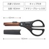 Kokuyo Scissors 2-Way Hakoake Titanium Glueless Blade, Black Hasa-PT412D