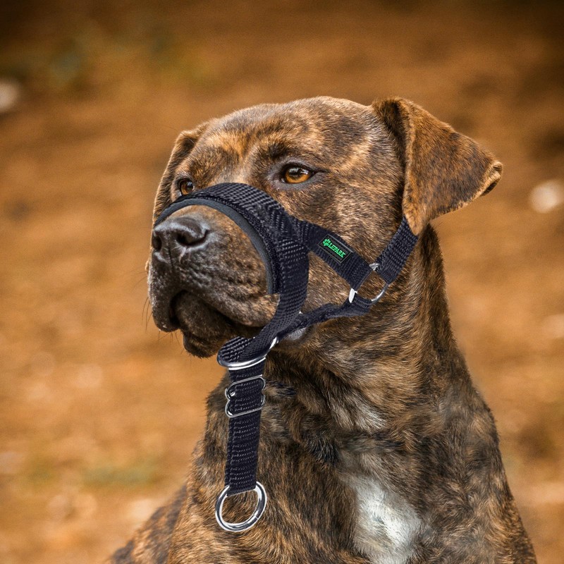 ILEPARK Dog Head Collar with Safety Strap, Head Harness for