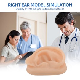 SimCoach Modelo de oreja de acupuntura, réplica de oreja artificial derecha para enseñanza de terapia auricular, práctica de perforación, audífonos, exhibición de joyas (blanco)