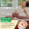 アルプロン (ALPRON SLIM) ソイ プロテイン SOY ミルクココア風味 750g ケトン 食物繊維