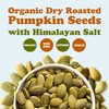 Food to Live Organic Dry Roasted Pumpkin Seed Kernels with