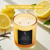 Lemon Vanilla Scented Candle, 2-Wick Luxury Soy Wax Candle, 9