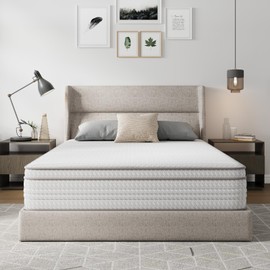 Novilla 10 Inch Queen Mattress, Hybrid Queen Size Mattresses in a Box with Smarts™ Coil Pocket Spring for Pressure Relief, Medium Firm Colchones with Comfort Foam, CertiPUR-US Certified