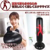 AINetJP Premium Sandbag Air Standing Bag Boxing Training with Air