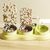 Pet Water Food Bowls 3 in 1 Prevent Slip Tilted
