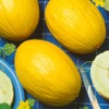 Park SeedJuane Canary Heirloom Melon Seeds, Pack of 25 Seeds