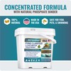 Pond Clear Water Treatment - 16 Pack for 8 Months