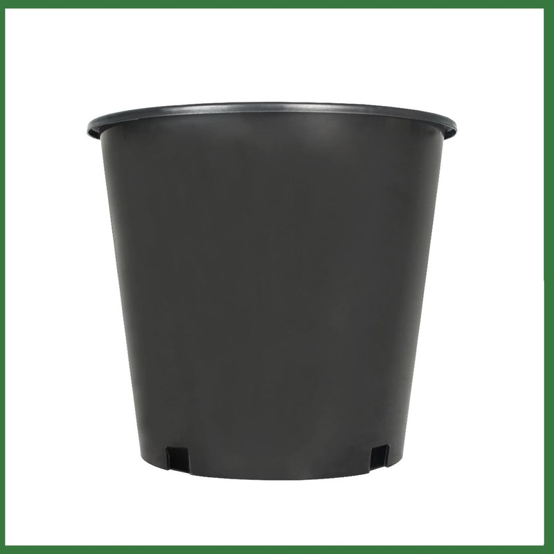 raseparter 10 Pack 2 Gallon Plastic Planter Nursery Seedling Pots