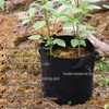 FiveSeasonStuff 10 Gallon Grow Bags Upgraded Heavy Duty Handles, 5