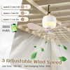 Boeetech Tent Ceiling Fans for Camping, Portable Camping Fan with