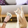 ZVGV 2 in 1 Interactive Cat Toys for Indoor, Toy