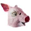 Pig Adult Costume Mask