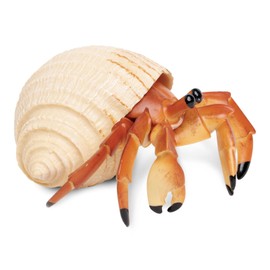 Safari Ltd. | Hermit Crab | Incredible Creatures | Toy Figurines for Boys & Girls