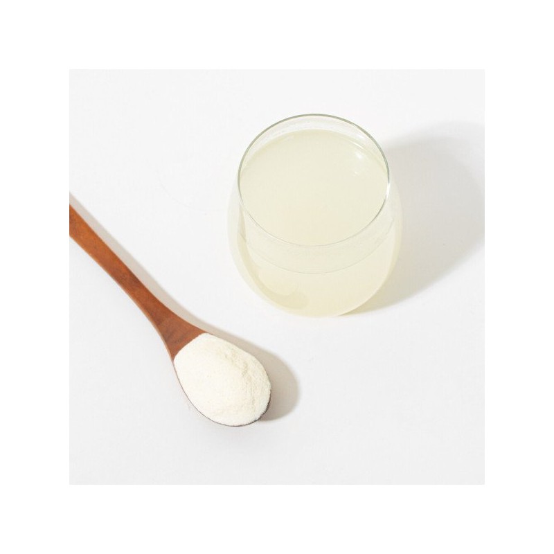 보스웰리아추출물분말 250g Boswellia Extract Powder 250g