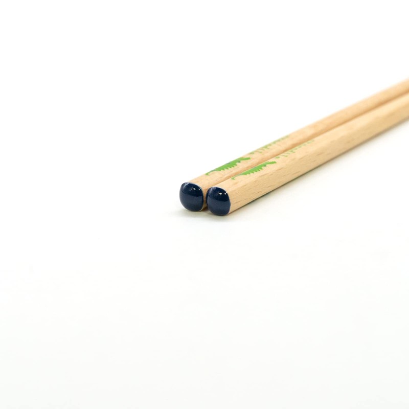 Wakasa Lacquer 264352 Chopsticks for Kids, Mini Zoo, Crocodile, Dishwasher