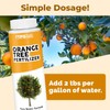 Orange Tree Fertilizer – Liquid Plant Food for More Fruit,