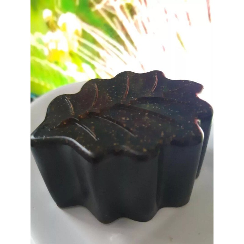 Enatu Tepezcohuite ( Tree of Life )Healing Soap 3.0 oz