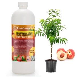 𝐏𝐑𝐎𝐅𝐄𝐒𝐒𝐈𝐎𝐍𝐀𝐋 Liquid Silica Plant Supplement - 32oz - PEACH TREE Plants Liquid Silica Boost Fertilizer - Stronger Stems & Healthy Leaves for Indoor & Outdoor Peach Trees (Makes 180 Gallons)
