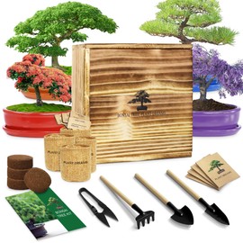 LUOJIBIE Bonsai Tree Kit, Wooden Gift Box Indoor Bonsai Tree Starter Kit with Tools & Japanese Plants Seeds, Growing DIY Gardening for Plant Lovers (Plant Lover Gift)