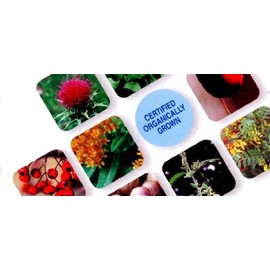 EXCTIC Saw-Parmet ec182 Eco Pack 600 mg x 90 Capsules