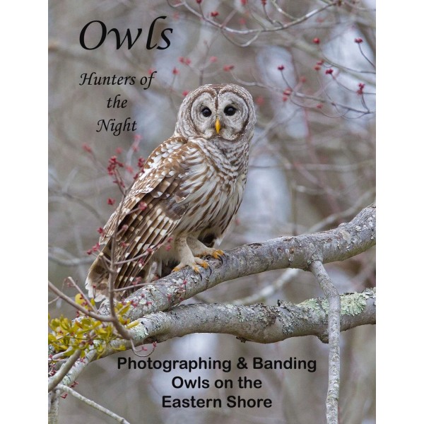 Book Photographing & Banding Owls 8-1/2" X 11" Images &