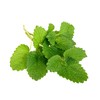 Organic Peppermint leaf Tea Aid digestion and help relieve flatulent