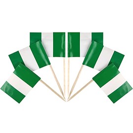 QQSD Nigeria Toothpick Flag Nigerian Small Mini Cupcake Topper Flags,100 pcs
