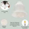 LIGHTACCENTS 4-Pack Ceiling Fan Light Covers -white Alabaster Glass Shade
