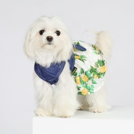 Fitwarm Lemon Denim Dog Dress, Dog Clothes for Small Dogs Girl, Pet Cat Outfit, Blue, White, Yellow, Green, XXS