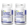 ALLBE ProbioCan 100 Billion CFU, 60 Probiotic Capsules with Lactiplantibacilus