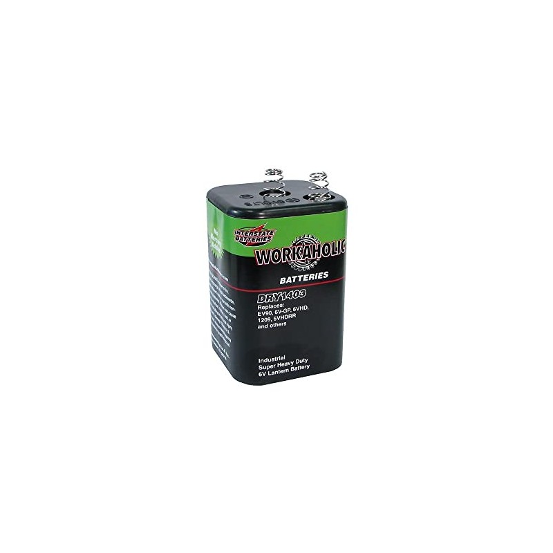 Interstate Batteries 6 Volt Battery, HD Lantern Battery (DRY1403)